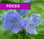 news poesie