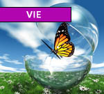 news vie