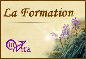 agenda-formation
