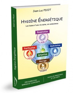 Hygiène Énergétique ebook